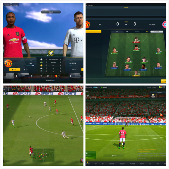 【信院力量•体联】学生体育联合会6月特色亮点活动回顾