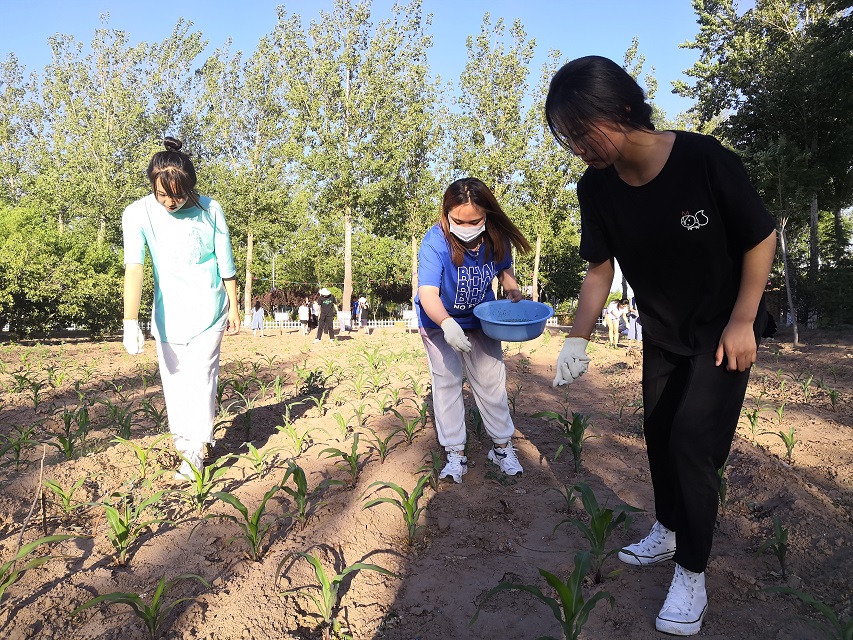 【信院农场】农耕项目第3期:六大书院携手并肩 用心浇灌幼苗茁壮成长