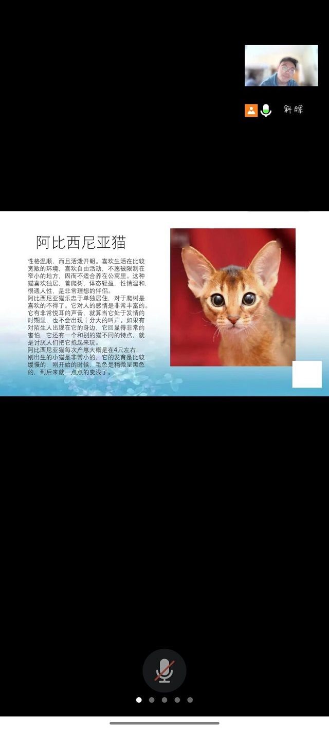 激情竞猜 共赏萌宠——食品与环境学院“萌宠猜猜猜”趣味课堂