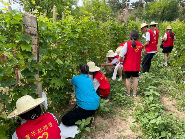 八载同心 志愿共行——第八届“你我共志愿”公益传播官风采大赛温情落幕