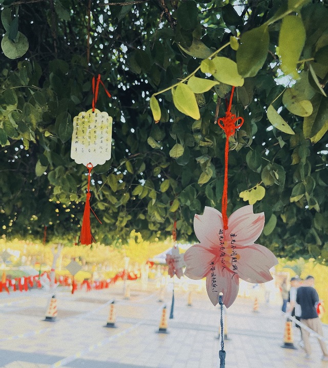 【迎新纪实】金秋九月 “商”院逢君 静待“新”颜