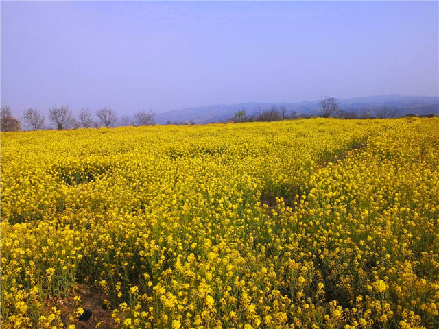 汇聚青年力量 传承“五四”精神——智能工程学院“五四”团日活动展