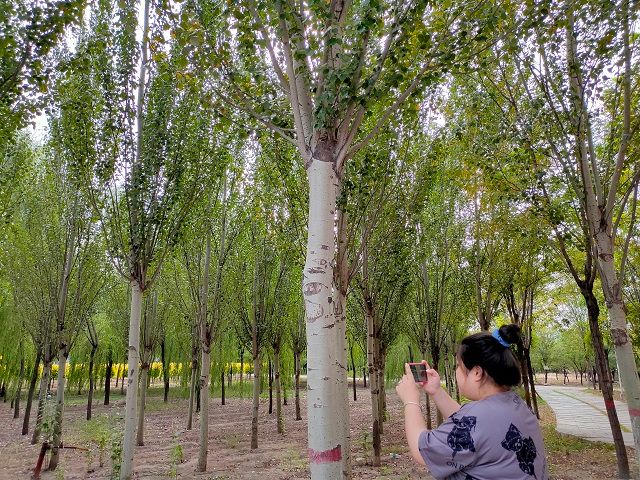 【完满班级】魅力校园“抖”出青春之歌——艺术传媒学院产品1701班完满班级活动