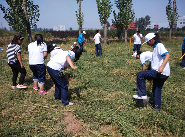 卓越农场除草活动顺利完成