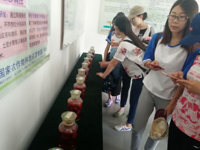 【完满班级】所爱隔山海 山海皆可平——食品与环境学院爱情价值观研讨会