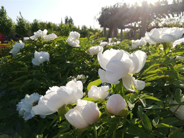 前行第170期:用光影捕捉瞬间 用心灵发现美好