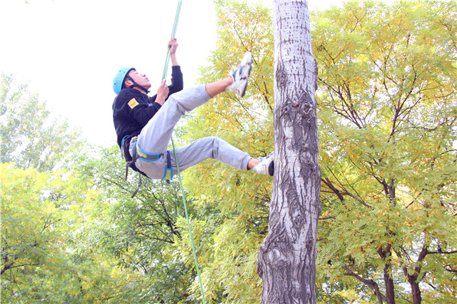 第四届“阳光杯”CISAU攀树大赛圆满落幕