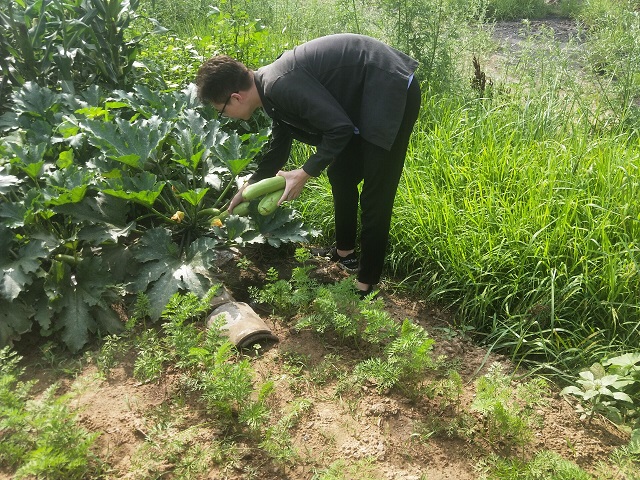 【暑期社会实践】淬炼学子参加学工学农劳动实践 体认劳动价值