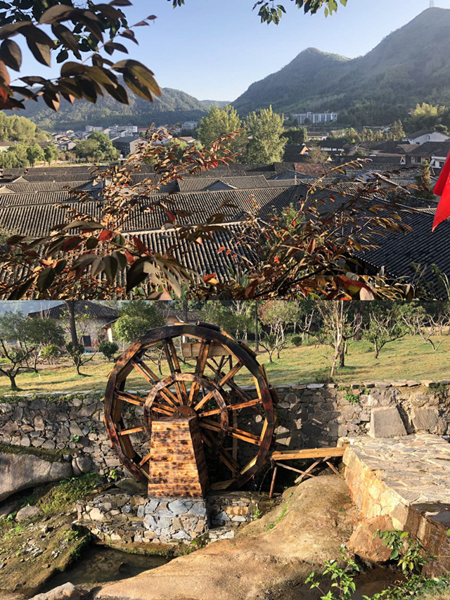 【暑期社会实践】乡村记忆 淬炼学子无法抗拒的糖