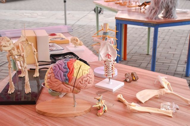 社团展示赴华章 育人兴农担使命——食品与环境学院“绿时代”助学兴农育人工程之“四‘漾’环科”促融主题风采展