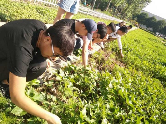 【完满班级】汇聚菁英 展望精英——食品与环境学院园林1603班完满班级活动