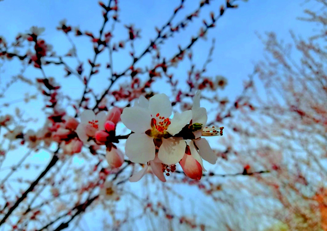 艺术传媒学院三月完满班级活动总集