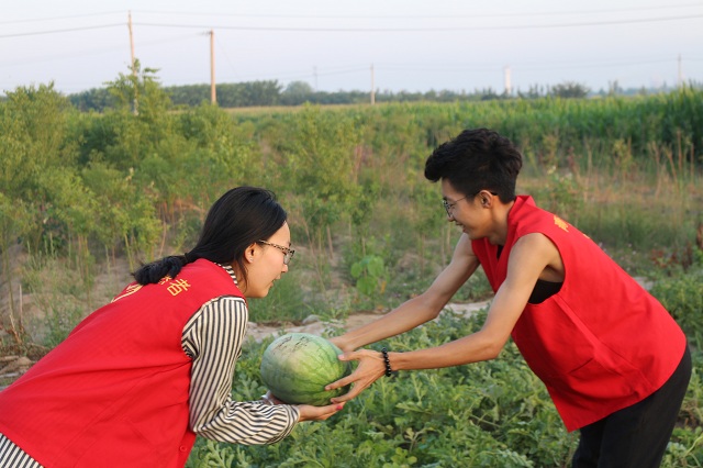 【三下乡】青草地？西瓜群？你见过太谷4点的太阳吗？——环科系2017暑期“北斗星”公益实践团南阳村之行