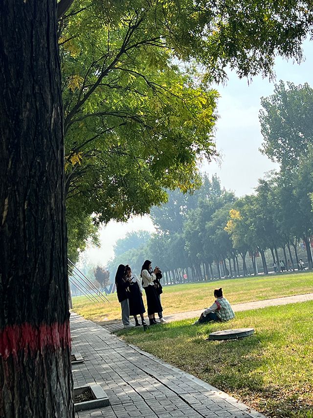 【完满班级】捕光逐影寻信美——艺术传媒学院视觉2001班级校园摄影活动