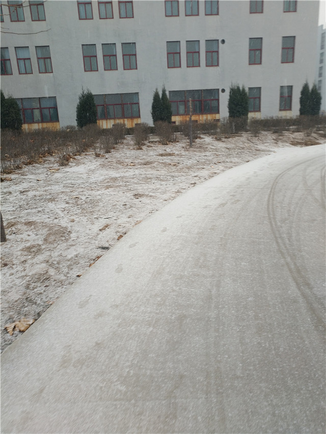 【前行】第75期:信院初雪 如果不打伞 是不是可以一路走到白头