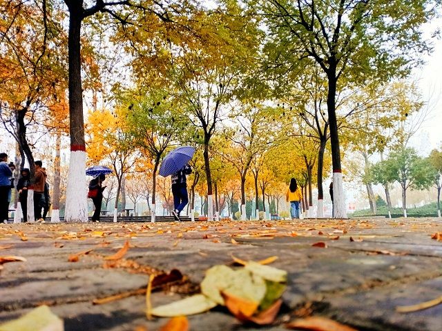 【完满班级】拥抱秋天 美在校园——食品与环境学院土管1901班完满班级活动