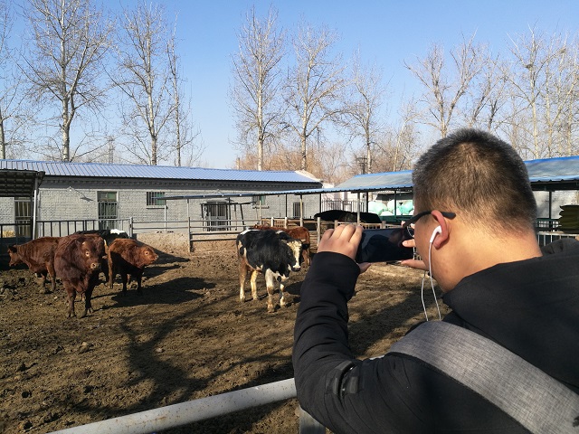 【完满班级】最是人间留不住 朱颜辞镜花辞树——远景1701班创意写作户外活动