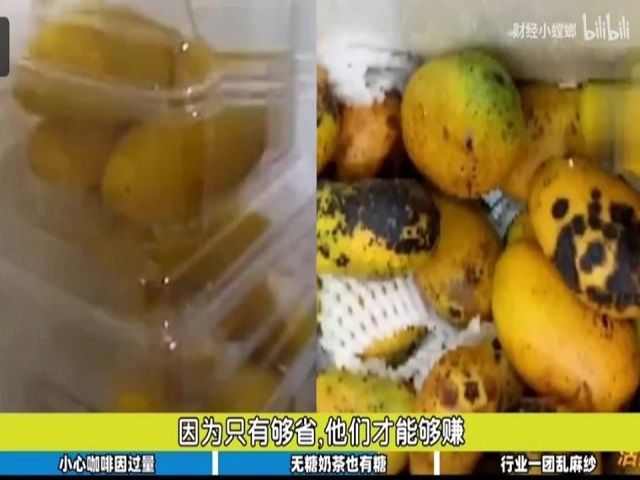 寻根究底 追求科学——食品与环境学院“绿树成荫 寻根究底”饮品饮用常识科普