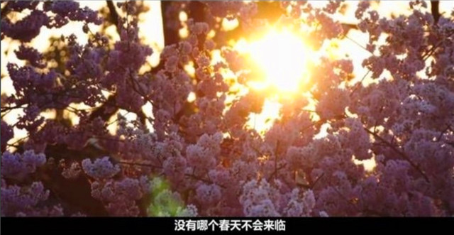 汇聚青年力量 传承“五四”精神——智能工程学院“五四”团日活动展