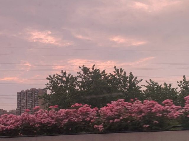 【完满班级】春暖花开 奔你而来——食品与环境学院园林1901班完满班级活动