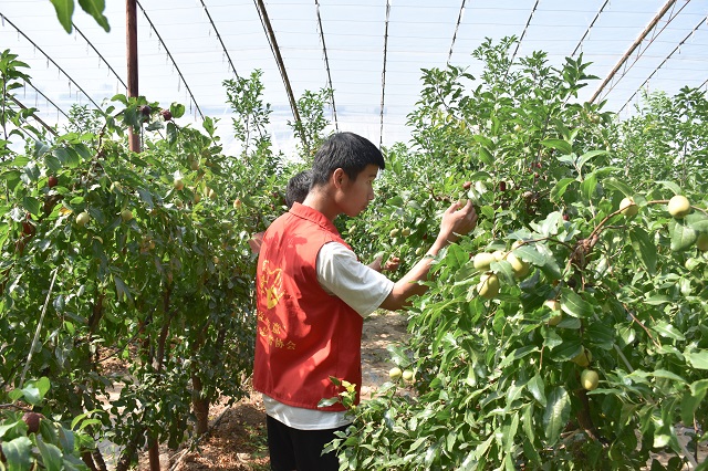 【三下乡】青春实践 绿色育苗——食品与环境学院暑期“三下乡”社会实践活动