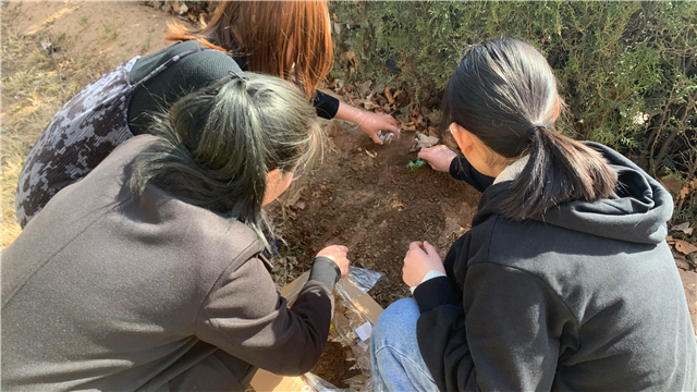 【1＋1＞2】创意流光 变废为宝 让错放资源归“家”——食环&箕城“时尚·生活·家”养成计划之“低碳生活 环保‘家’文化”宿舍垃圾变废为宝DIY大赛