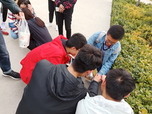 【完满班级】捡起一片垃圾 收获一片希望——食品与环境学院园林1802班举办完满班级活动