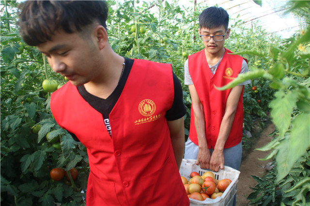 【三下乡】田水高低各斗鸣  溪流奔放更欢声——机电工程系“机时予”象谷村志愿服务纪实（三）