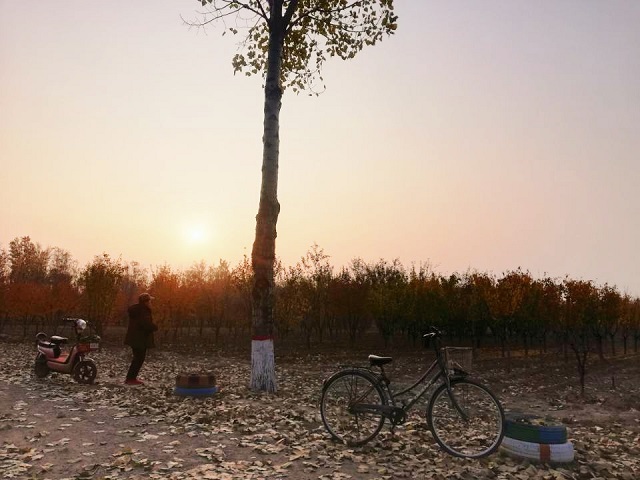 【完满班级】镜头汇聚精彩 守护绿色校园——食品与环境学院动医1801班完满班级活动