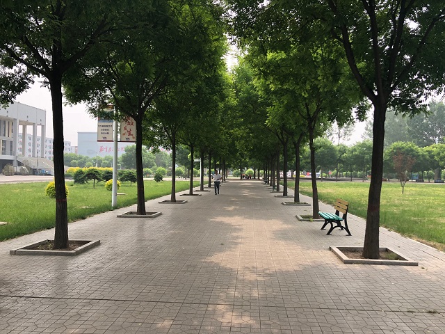 【完满班级】记录梦想瞬间 珍惜完满之旅——动画1701班“稍纵即逝 如梦如幻”完满班级活动