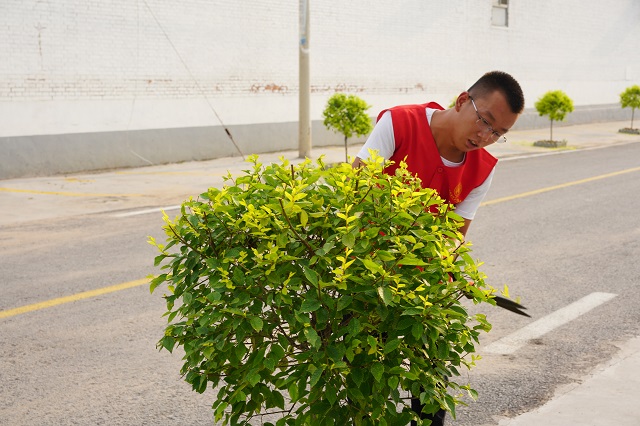 【三下乡】振兴乡村绿化养殖建设发展