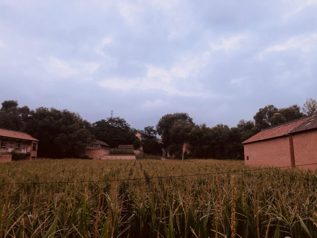 【暑期社会实践】淬炼商学院学子用实践谱写名为兴晋的青春乐章