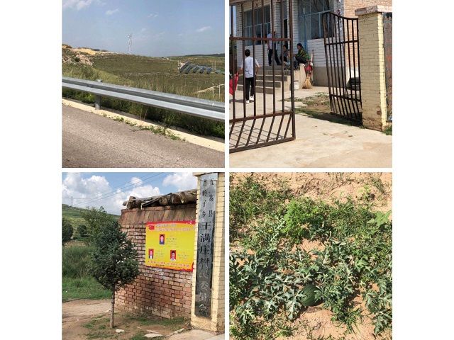 【暑假社会实践】要青山不改 愿绿水长流——艺术传媒学院视觉传达1905班