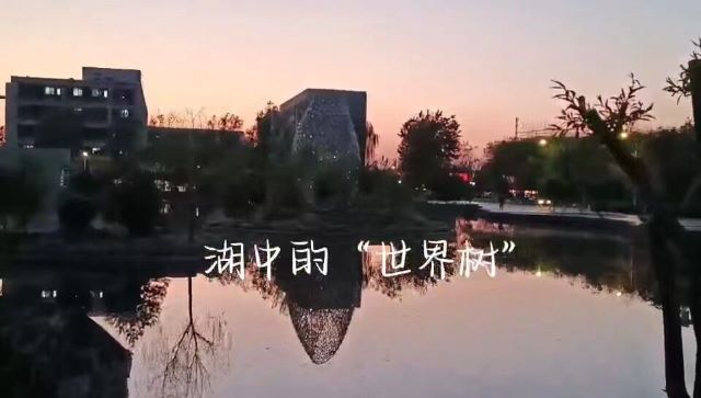 【完满团支部】记录生活 聚焦美好——大数据学院、信息工程学院计科2204班完满团支部活动