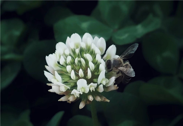 【完满班级】不负春光 拥抱春天——计科1803“停住你我的脚步，‘疫’春天的色彩”活动