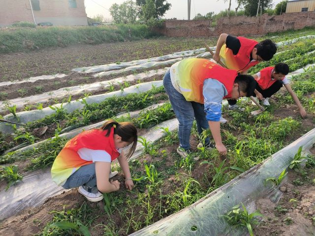 学长计划第1084期:挖呀挖呀挖!智能人开“挖”!——智能工程学院第149期学长计划“劳有所获 勤有所得”一日农家乐