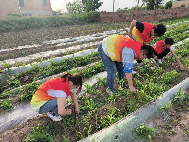 学长计划第1084期：挖呀挖呀挖！智能人开“挖”！——智能工程学院第149期学长计划“劳有所获 勤有所得”一日农家乐