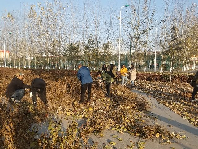 【社团快讯】霜月除草季——农场协会社“霜月除草”活动成功举办