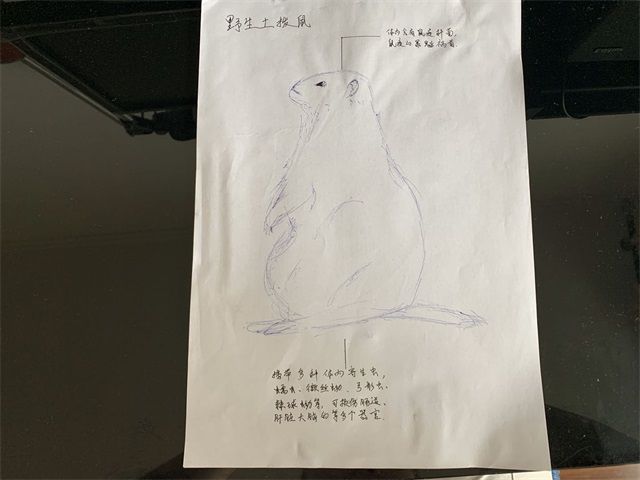 【完满班级】同在地球上 共享大自然——食品与环境学院动医1802班完满班级活动