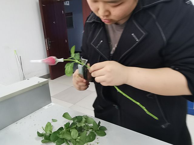 【完满团支部】漫生活花坊 悦未来时尚——食品与环境学院园林2001班完满团支部活动