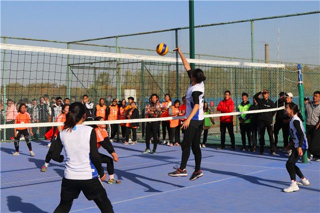 排球联赛:每一次起跳都是梦想的实现