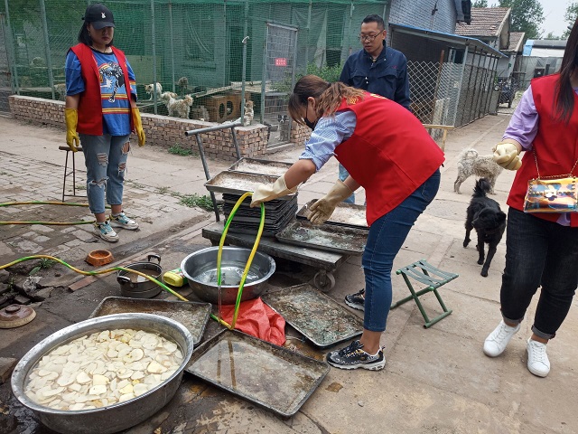 【完满班级】敬万物生灵至微 养行与善之永德——食品与环境学院城规1701班完满班级活动