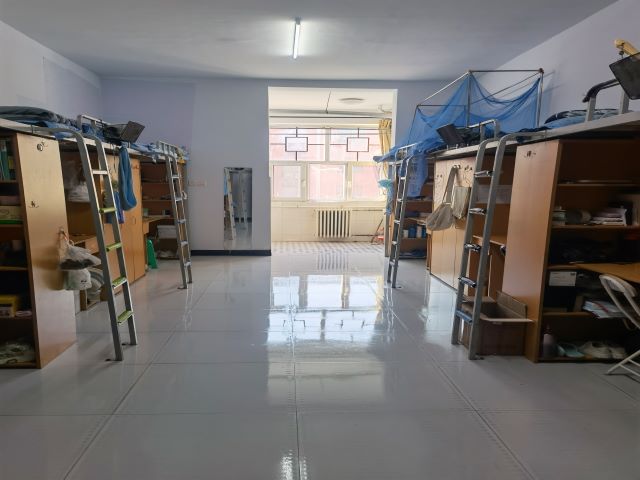 【完满班级】平凡的辛劳 劳动闪耀——食品与环境学院园林2104班完满班级活动