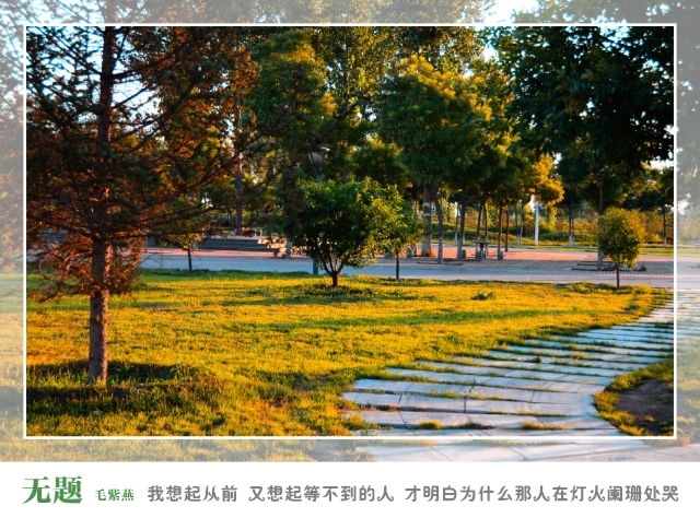 三行诗 校园文学作品中的诗和远方——寄情以墨作品收录站优秀作品展(一)