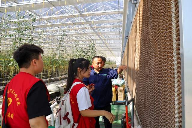 【三下乡】未来农业新模式 一座神奇的“植物工厂”——大数据学院、信息工程学院“智·惠农”太谷农高区产业振兴实践团
