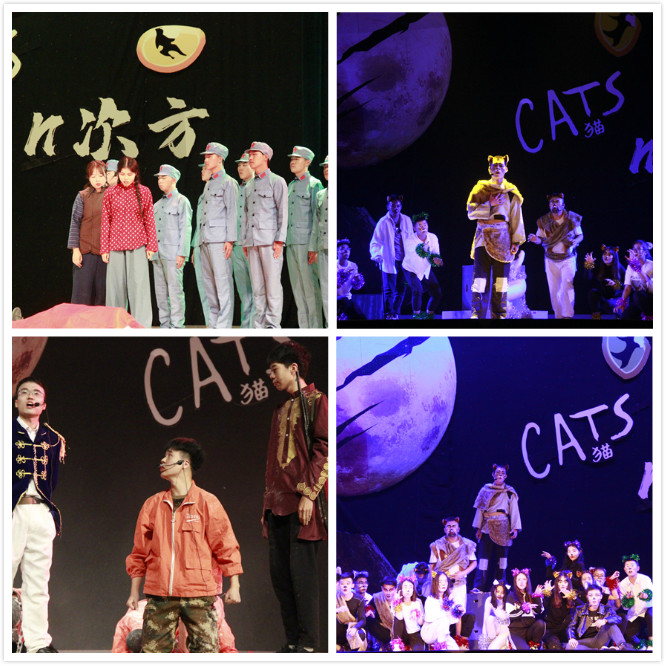 呐喊中寻找青春的足迹——首届“‘猫’的N次方”音乐剧大赛圆满落幕