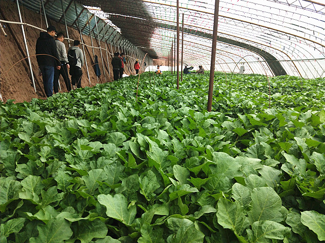 【完满班级】开启完满生活 踏上岁月征程——大数据学院软件1702班举办四月完满班级踏青活动