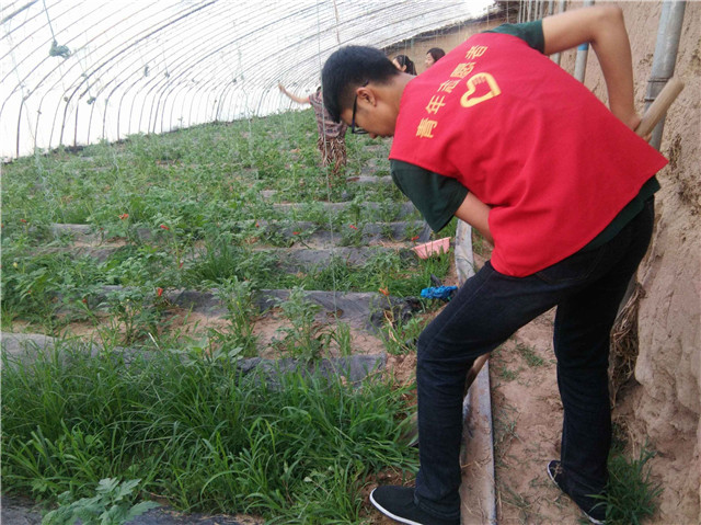 【三下乡】百顷陂田过雨清  新秧漠漠似苔生——机电工程系“机时予”象谷村志愿服务纪实（一）