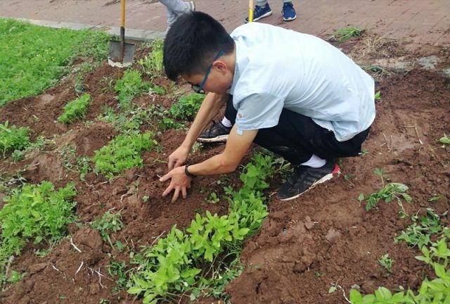 【缤纷百团】不忘初心 定格社团精彩瞬间