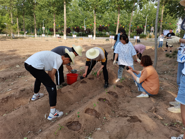 【信院农场】农耕项目第2期:初夏时节 耕植方圃 不亦乐乎